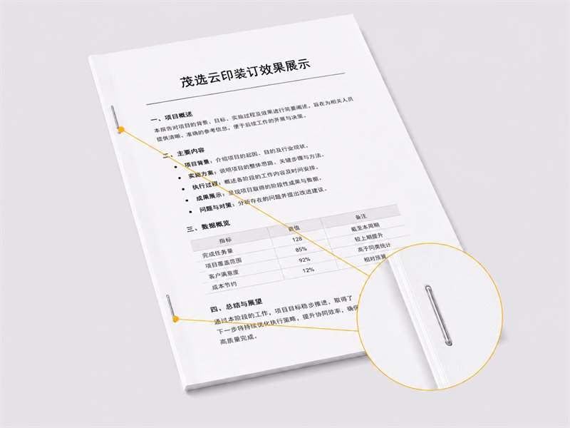 订书钉样张