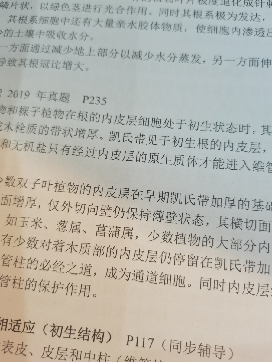 评价晒图