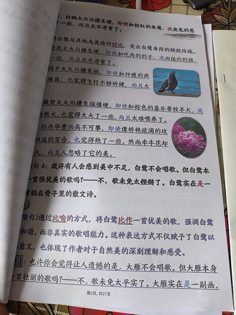 评价晒图