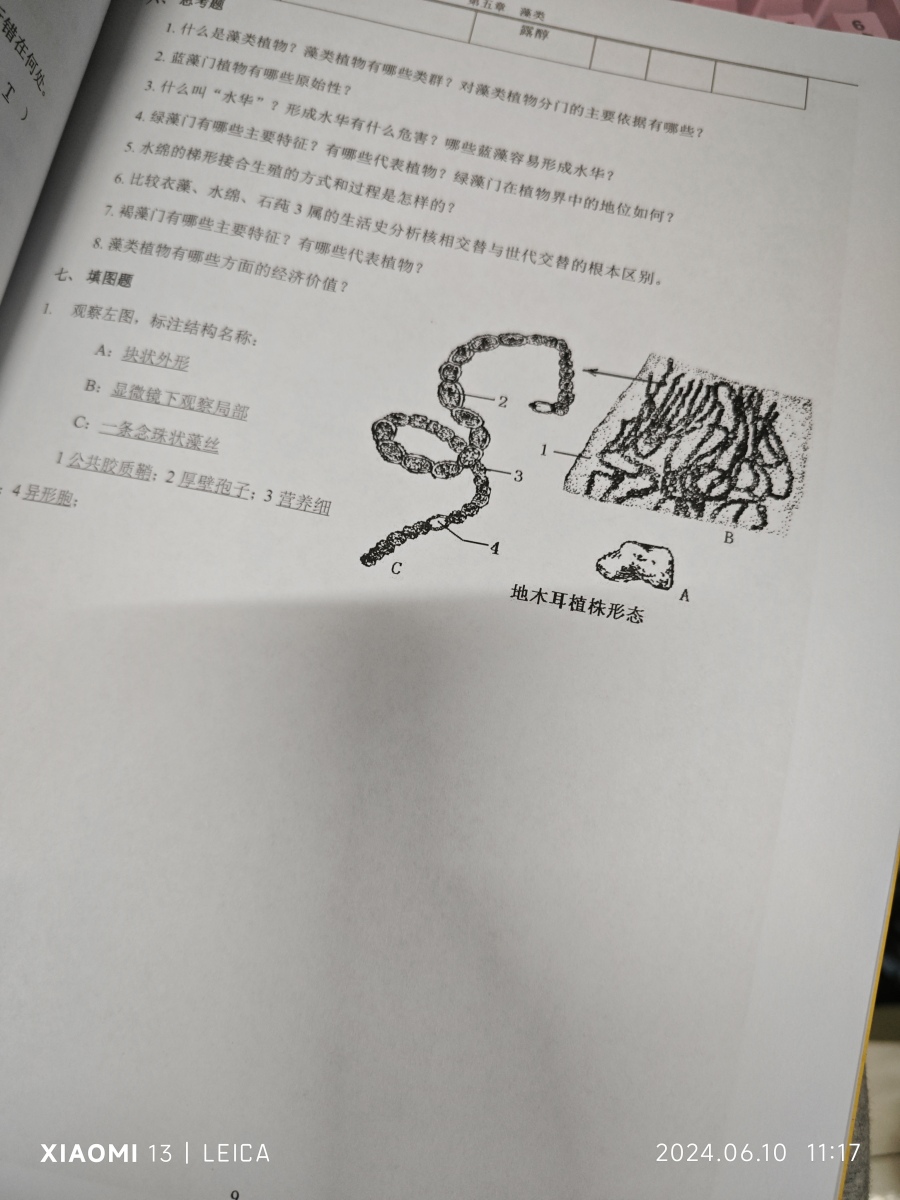评价晒图