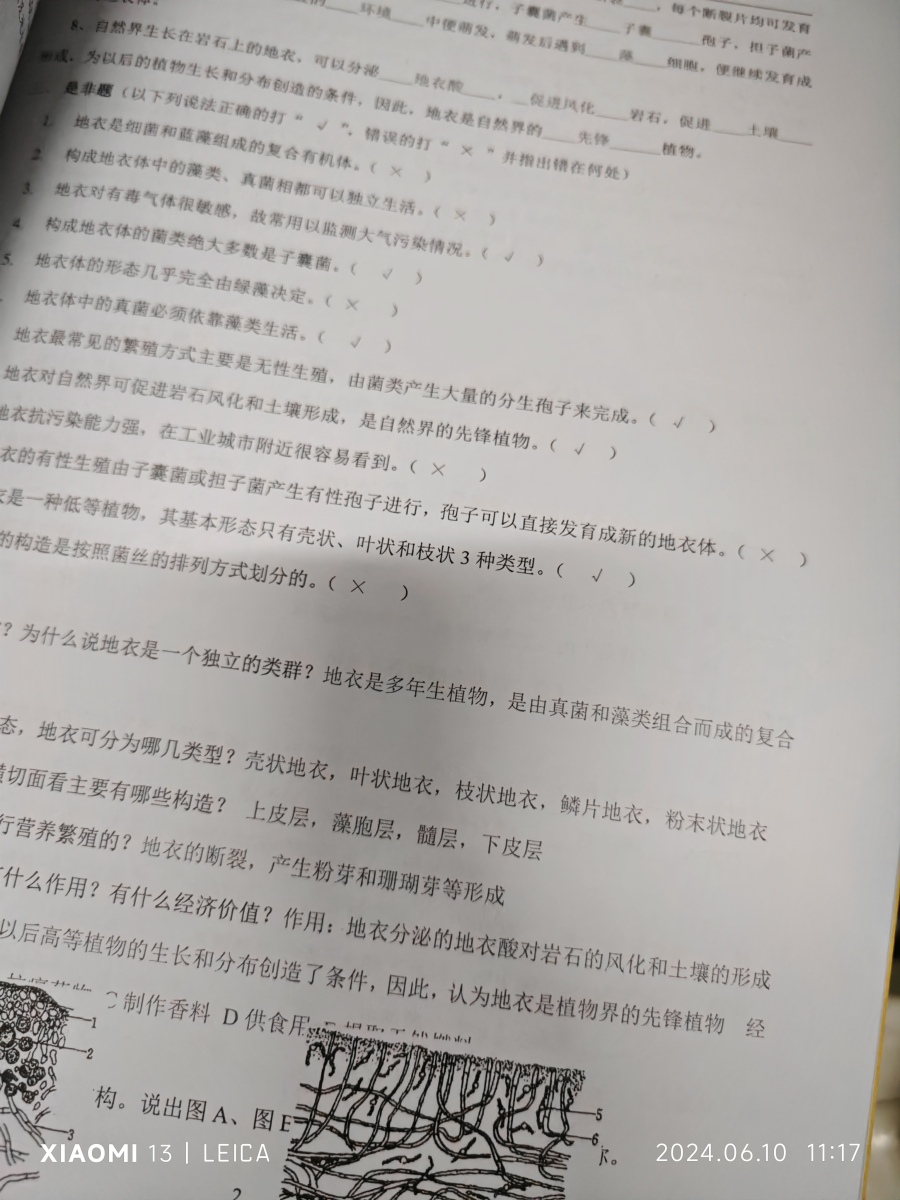 评价晒图